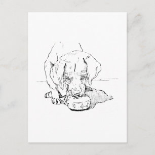 Labrador Puppy Postcard for Dog Lover