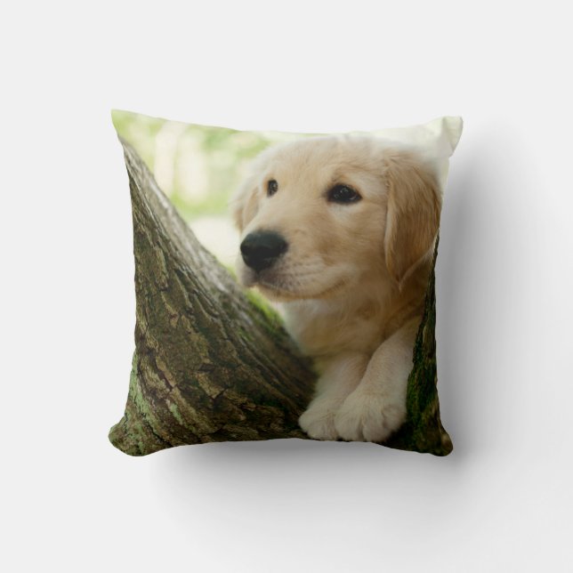 Labrador Puppy Sitting In A Woodland Setting Throw Pillow (Front)