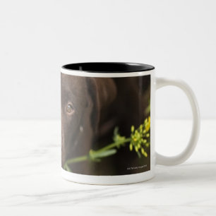 Labrador puppy sitting in grass Two-Tone coffee mug