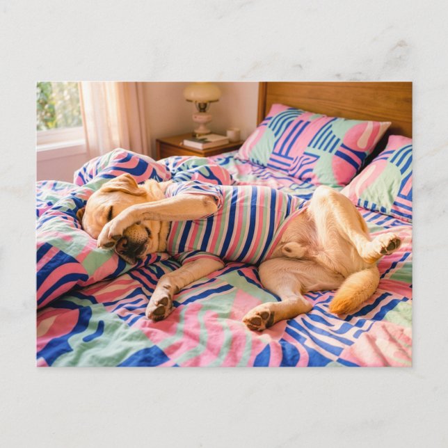 Labrador Resting on Colourful Bedspread Postcard (Front)