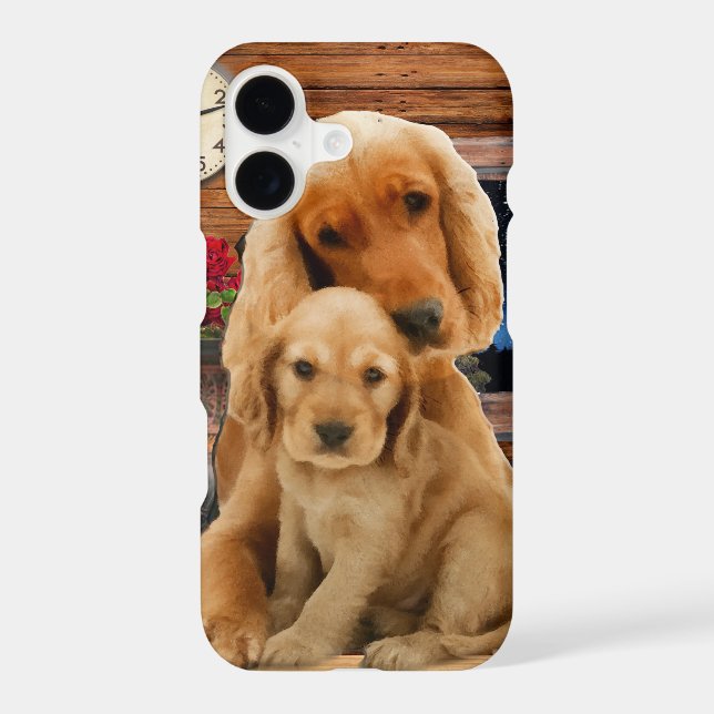Labrador retriever (Back)