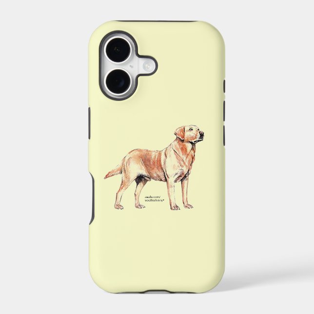 Labrador Retriever (Back)