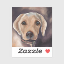 Labrador Retriever 