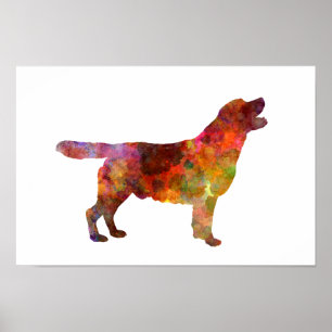 Labrador retriever 01 in watercolor 2 poster