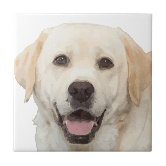 Labrador retriever 1 tile (Front)