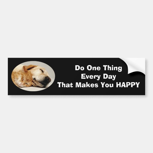 Labrador Retriever and Cat Bumper Sticker (Front)