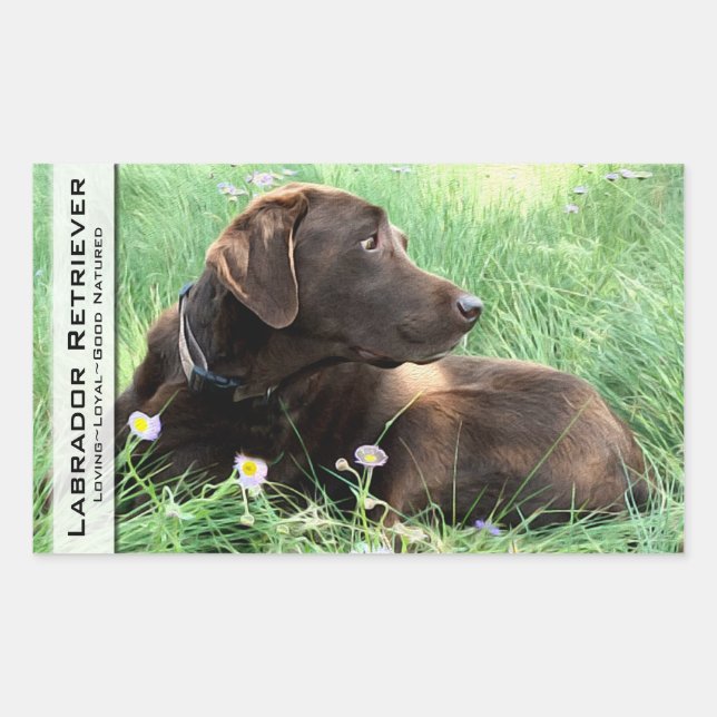 Labrador Retriever And Purple Flowers Sticker (Front)