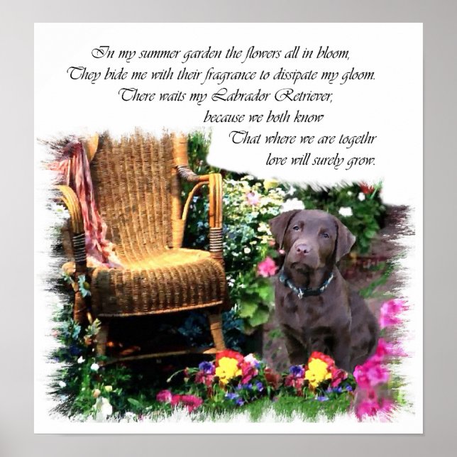 Labrador Retriever Art Print (Front)
