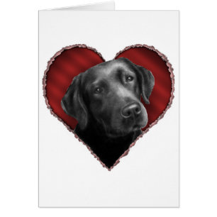 Labrador retriever avec le coeur