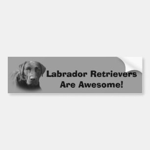 Labrador Retriever Awesome Bumper Sticker