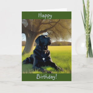 Labrador Retriever Birthday Card