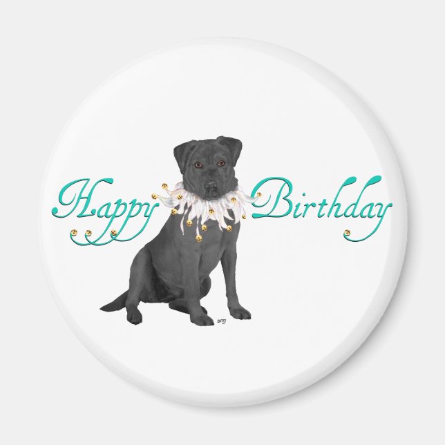 Labrador Retriever Birthday Greetings Magnet (Front)