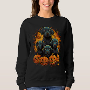 Labrador Retriever Black Lab Pumpkin Halloween Cos Sweatshirt