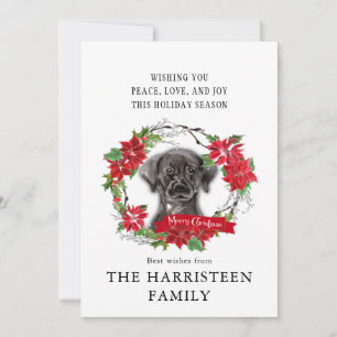 Labrador Retriever black Poinsettia Christmas Holiday Card