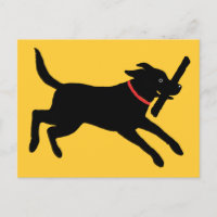 Labrador Retriever (Black)