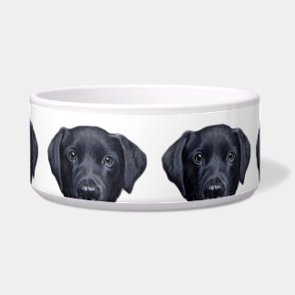Labrador Retriever black water bowl