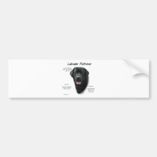 Labrador Retriever (blk) History Design Bumper Sticker