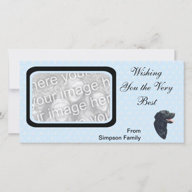 Labrador Retriever ~ Blue w/ White Diamonds (Front)