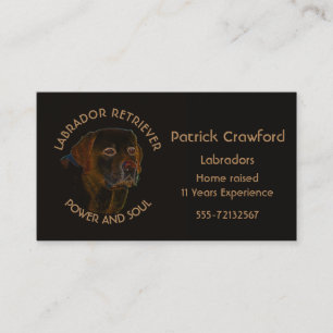 Labrador Retriever Breeder And Training Business Card