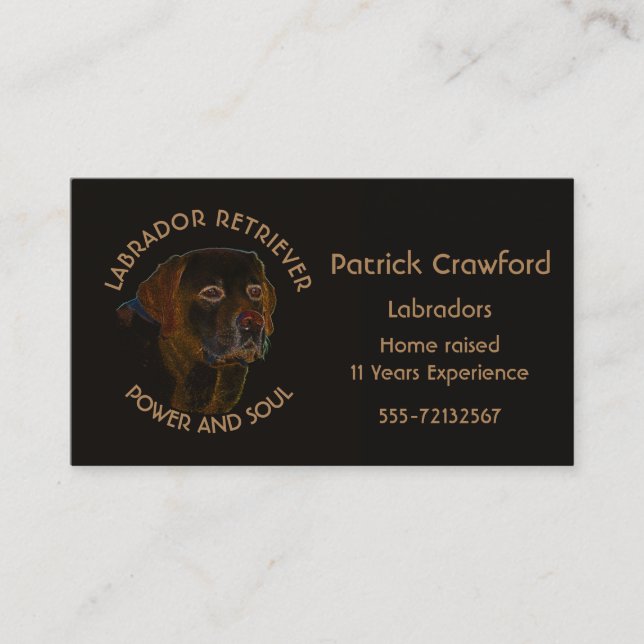 Labrador Retriever Breeder And Training Business Card (Front)