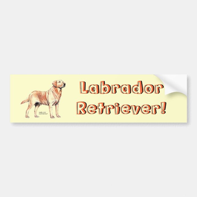 Labrador Retriever Bumper Sticker (Front)