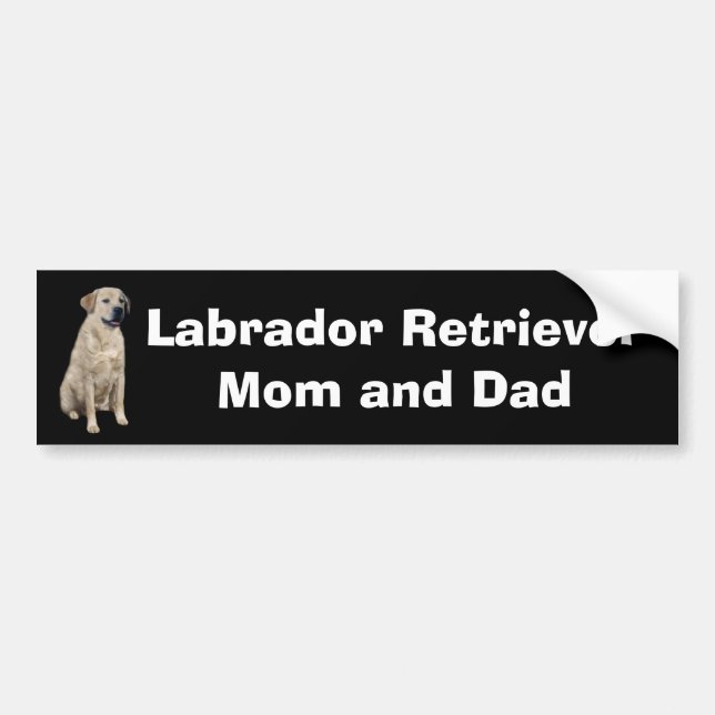 Labrador Retriever Bumper Sticker (Front)