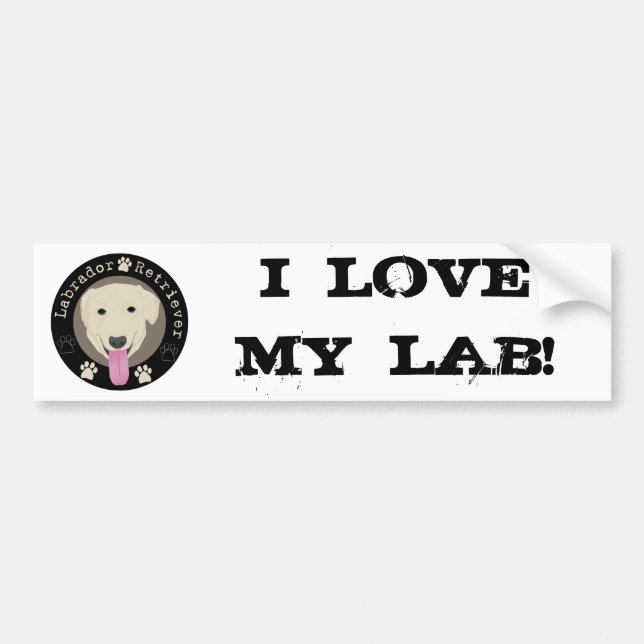 Labrador Retriever Bumper Sticker (Front)