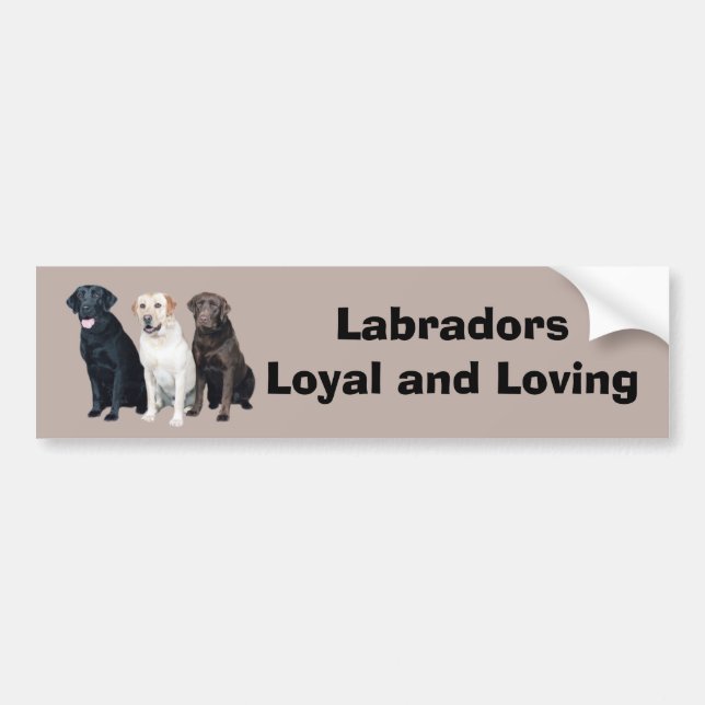 Labrador Retriever Bumper Sticker (Front)