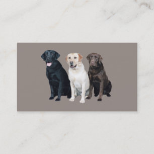 Labrador Retriever Business Card