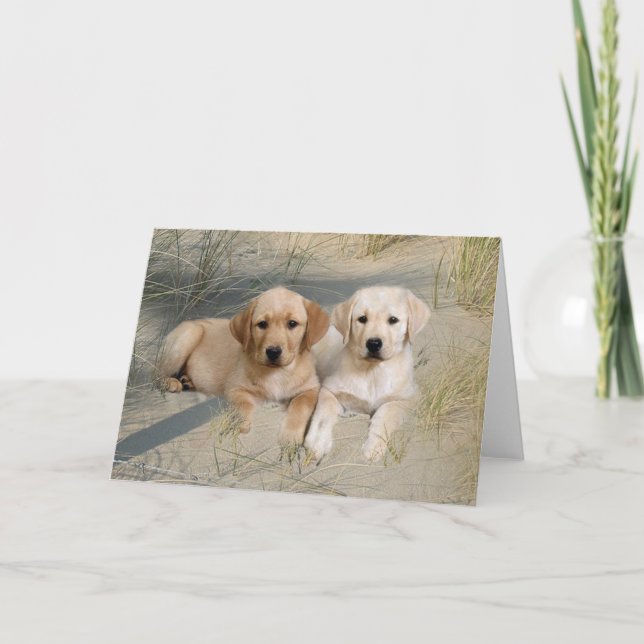 Labrador Retriever Card Pups On Beach (Front)