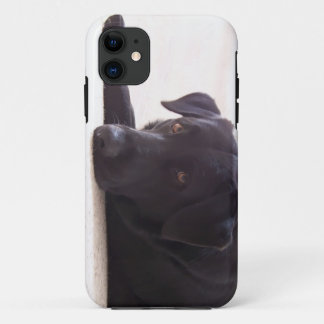 labrador retriever iPhone 11 case