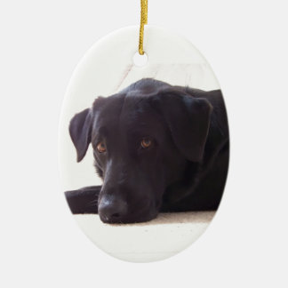 labrador retriever ceramic ornament