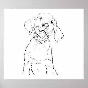 Labrador Retriever Chien Art Mural, Dessin Affiche