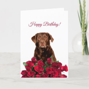 Labrador Retriever Chien Roses Bonne carte d'anniv
