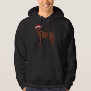 Labrador Retriever Chocolate Lab Christmas Lights Hoodie