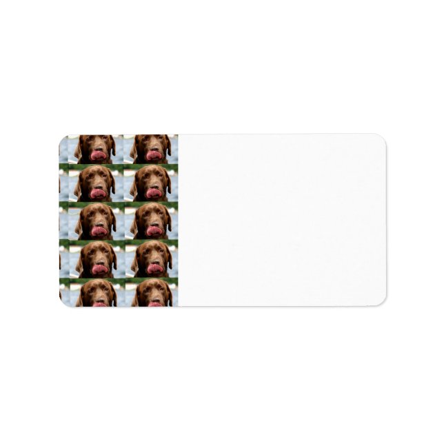 Labrador Retriever Chocolate Tiles BG Label (Front)