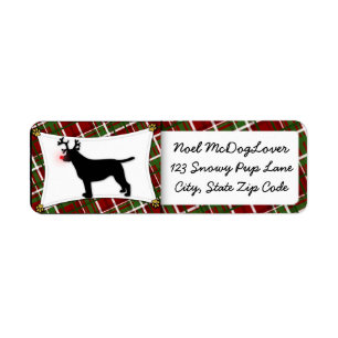 Labrador Retriever Christmas