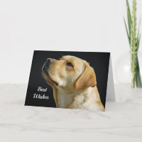 Labrador Retriever Congratulations Wedding Card