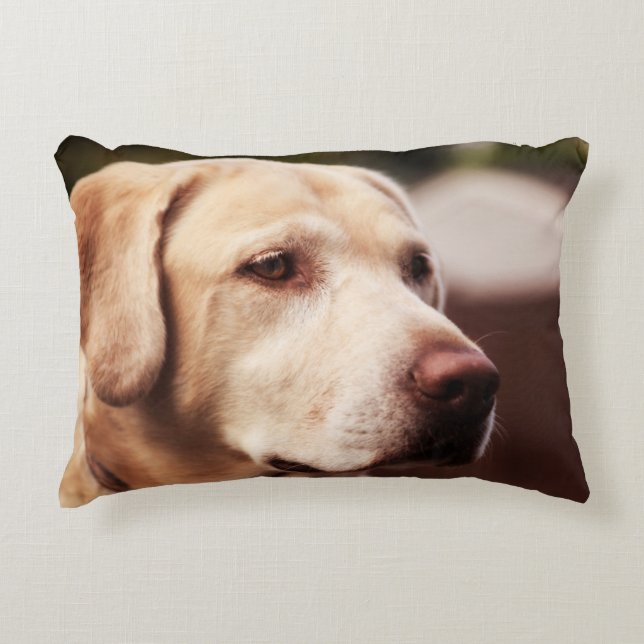 Labrador Retriever Decorative Pillow (Front)