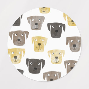 Labrador Retriever Dog