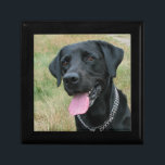 Labrador Retriever dog jewellery box,  trinket box<br><div class="desc">Photo portrait of a beautiful black labrador retriever dog trinket box,   gift box,  jewellery box.  great gift idea for dog lovers</div>