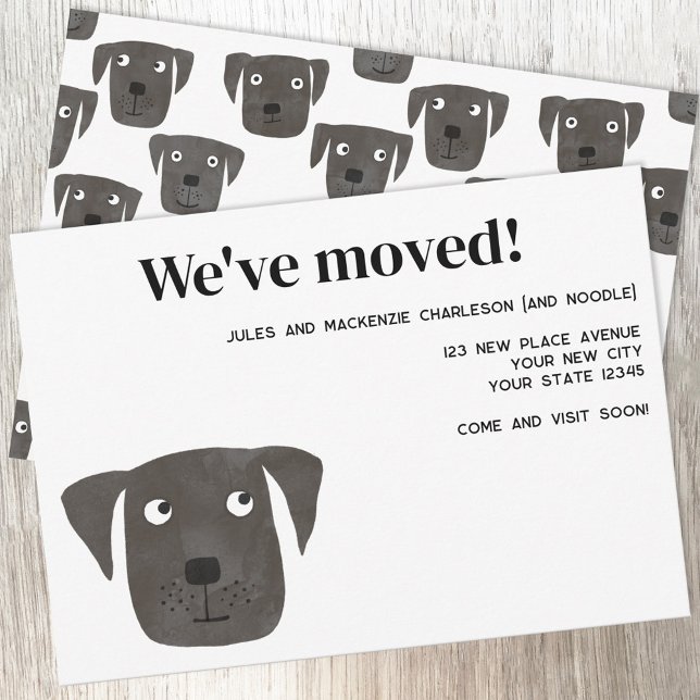 Labrador Retriever Dog Nouveau Faire-part d'adress (Black Labrador Retriever Dog new home moving change of address announcement)