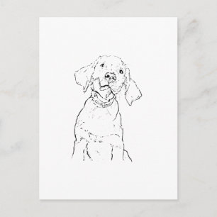 Labrador Retriever Dog Postcard