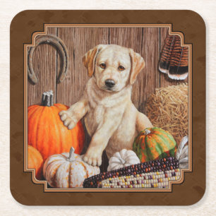 Labrador Retriever Dog & Pumpkins Brown Square Paper Coaster