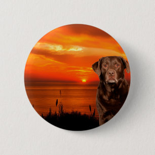 Labrador Retriever Dog Sitting beside Sunset 2 Inch Round Button