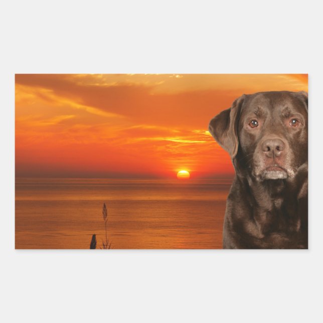 Labrador Retriever Dog Sitting beside Sunset Sticker (Front)