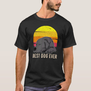 Labrador Retriever Dog Sunset  57 T-Shirt