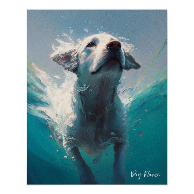 Labrador Retriever dog swimming in water 004 Poster (Front)