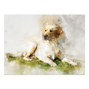 Labrador Retriever Dog Watercolor Portrait 03 Photo Print