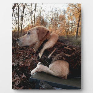Labrador Retriever Duck Missile on the Launch Pad  Plaque